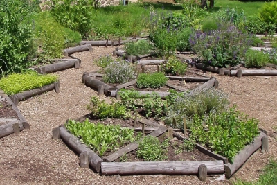 Apothekergarten - Garten gestalten in Sachsen