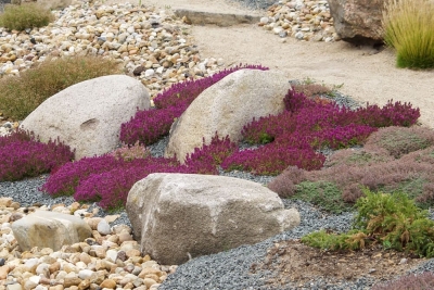 Kiesgarten - Garten gestalten in Sachsen