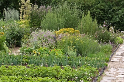 Kräuterbeet - Garten gestalten in Sachsen