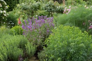 Kräutergarten - Garten gestalten in Sachsen