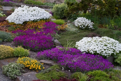 Polstergarten - Garten gestalten in Sachsen