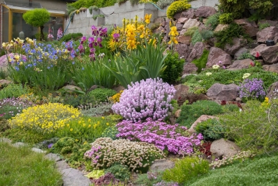 Steingarten - Garten gestalten in Sachsen