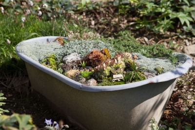 Trogbepflanzung - Garten gestalten in Sachsen