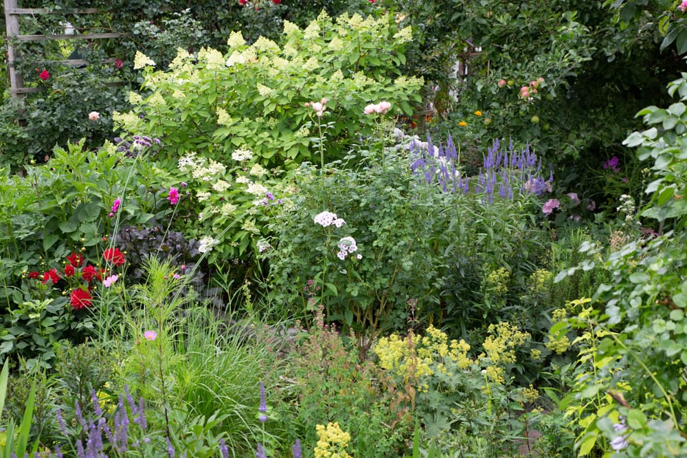 Bilder zur Gartengestaltung und Gartenplanung in Radeberg