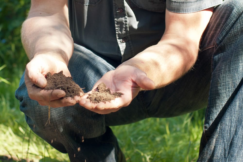 Gartenbesichtigung