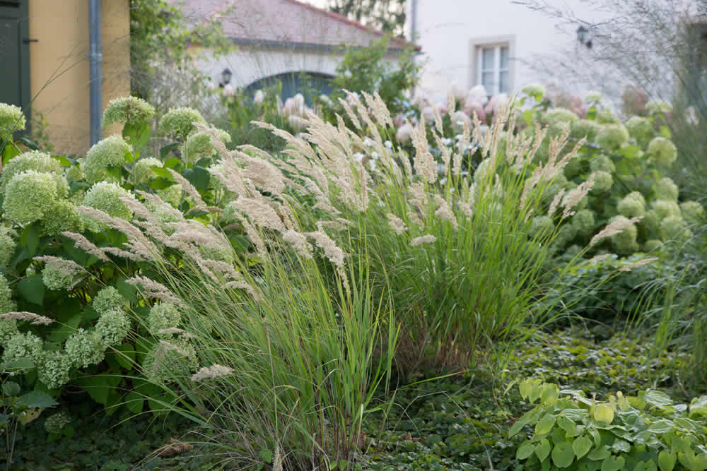 (c) Gartengestaltung-in-sachsen.de