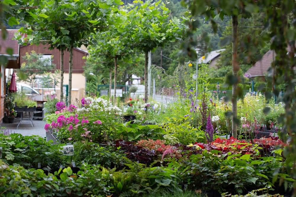 Gartengestaltung in Sachsen