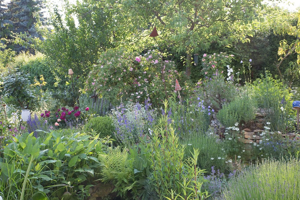 Bilder zur Gartenberatung und Gartengestaltung in 02708 Rosenbach und Umgebung
