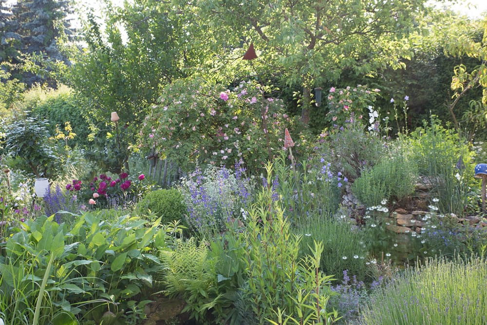 Bilder zur Gartenberatung und Gartengestaltung in 09306 Königsfeld bei Rochlitz und Umgebung